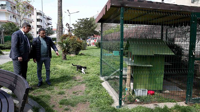 Karşıyaka daki tüm parklara kedi evi yapılacak