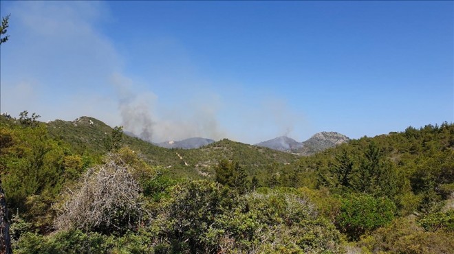 KKTC de orman yangını devam ediyor