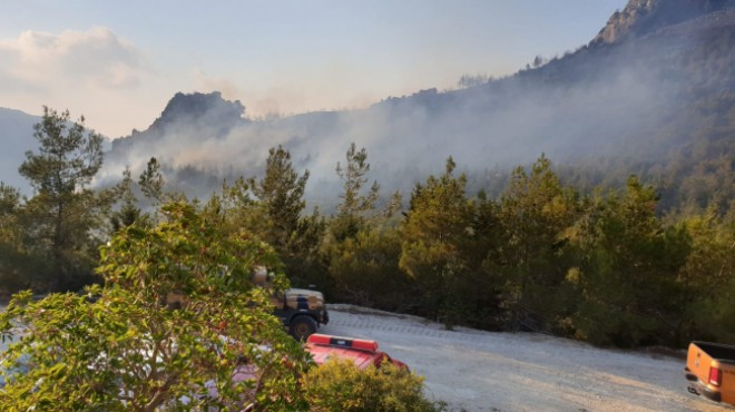 KKTC de orman yangını: Müdahale sürüyor