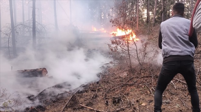 Kütahya daki orman yangını kontrol altına alındı