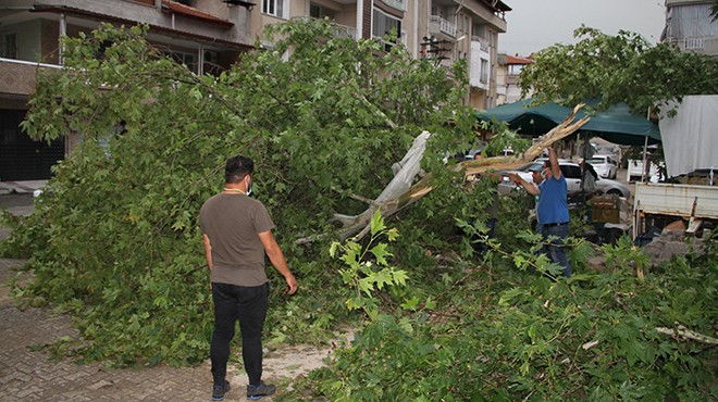 Manisa da fırtına ağaçları devirdi, yıldırım 3 kişiyi yaraladı!