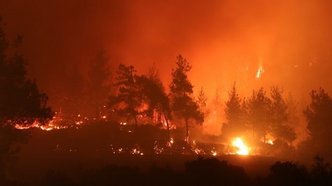 Mersin, Osmaniye ve Adana da orman yangınları