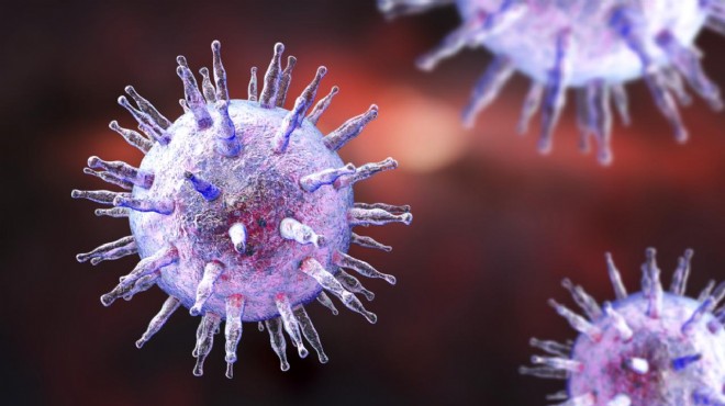 MS e neden olan virüse karşı ilk aşı geliştiriliyor