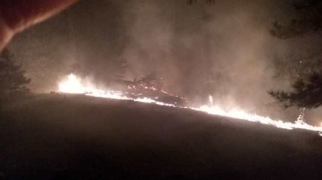 Muğla da orman yangını: 3 hektar kül oldu