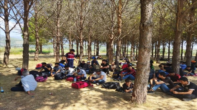 Muğla da ormanlık alanda 81 düzensiz göçmen yakalandı