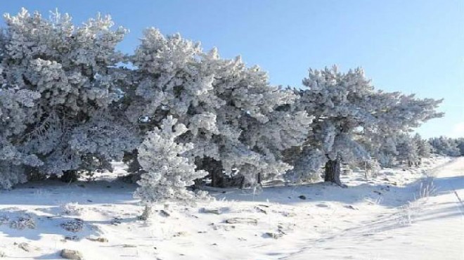 Muğla nın üç ilçesinde kar yağışı