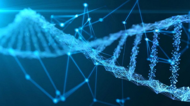Nefesten insan DNA sı tespiti!