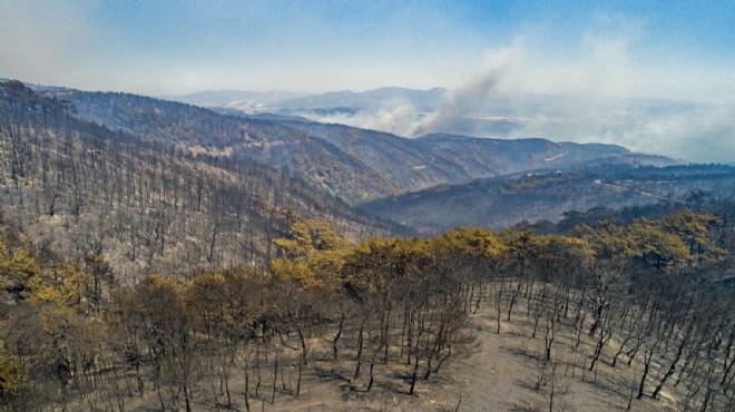 OBM yetkilileri açıkladı… İzmir yangınlara ne kadar hazırlıklı?