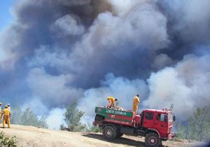 İzmir de sevindiren orman yangın raporu 