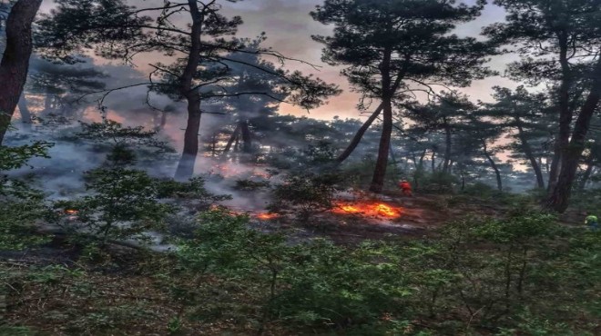 Orman yangınında 180 hektar alan zarar gördü