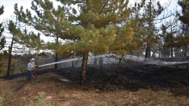 Orman yangınında 3 dönüm alan yandı