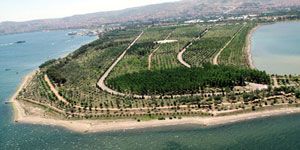 İzmir’de yeşil mucize: Kent ormanı