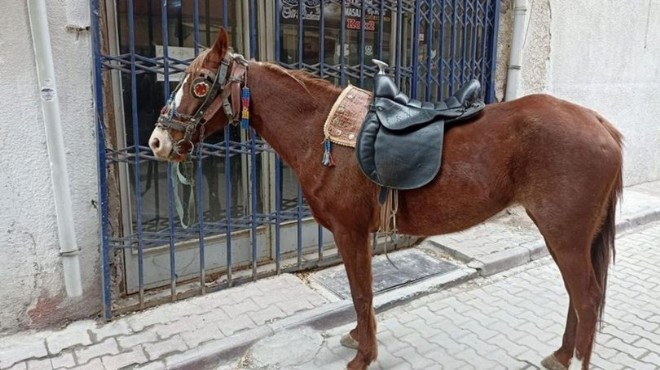 Polis  dur  dedi... Alkollü sürücü atıyla kaçtı!