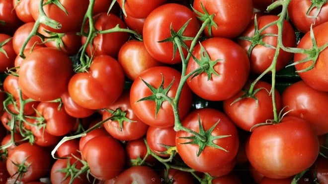 Rusya, Türkiye den domates ithalat kotasını artırdı