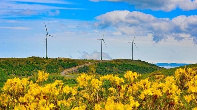 Rüzgardan elektrik üretimi rekor tazeledi