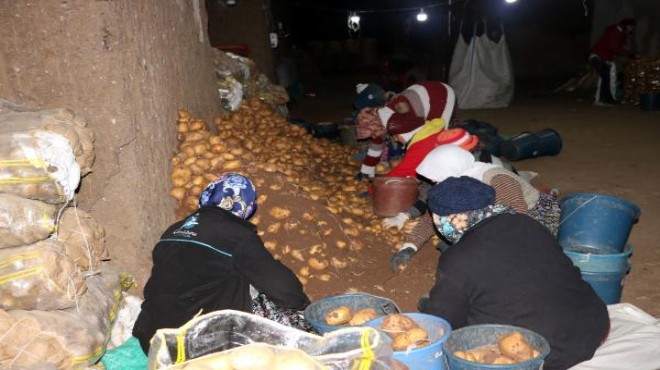 Sandıklı patatesi, mağaralarda satılıyor