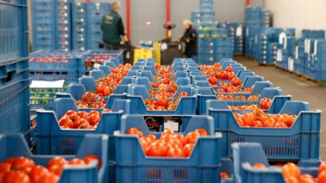 Sebze-meyve ihracatı 1 milyar dolara dayandı
