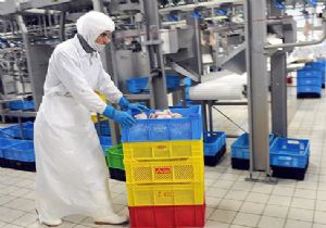 Flaş! Türkiye nin ilk beyaz et ihracatçısı iflas etti 