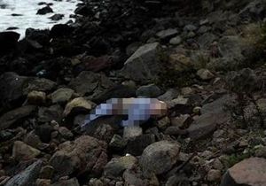 Ege sularında facia bitmiyor: 6 sı çocuk 11 ölü!