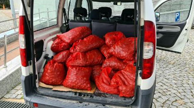 Şüpheli araçtan 400 kilo canlı midye yakalandı!