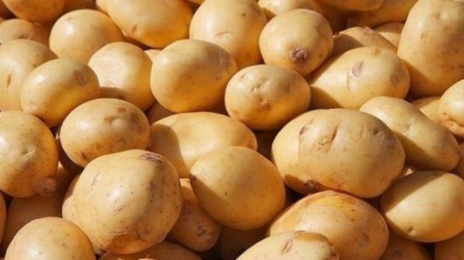 Suriye den patates ithalatı: Fiyatlar geriledi!