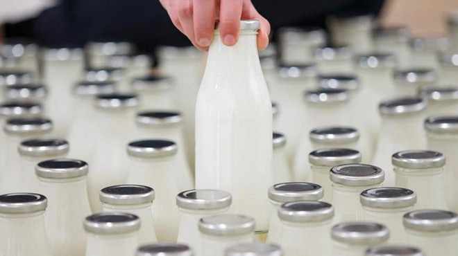 Süt ve süt ürünleri üretiminde sert düşüş!