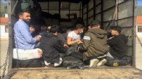 Muğla'da bir ayda 887 düzensiz göçmen yakalandı