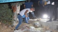 Vahşi cinayet: Kum dolu çuvaldan ceset çıktı!