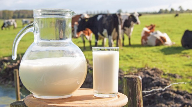 TÜİK açıkladı... Süt üretimi yüzde 3,8 arttı