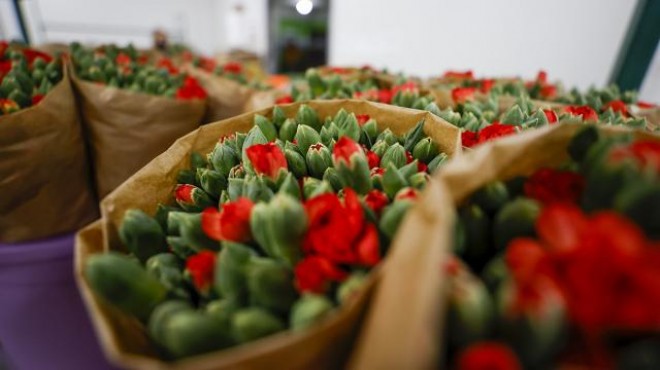 Türkiye den 83 ülkeye çiçek ihracatı