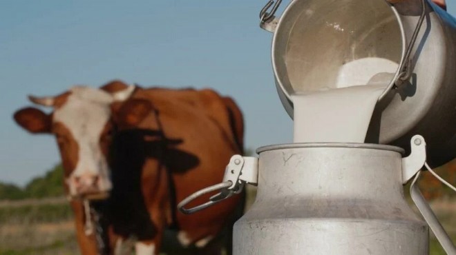 Üreticilerden ortak çağrı: Bu gidişle et ve süt üretilemez!