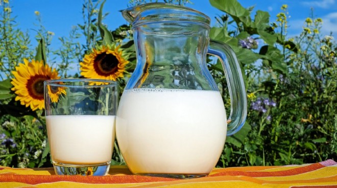 USK açıkladı: Çiğ süt tavsiye fiyatı belli oldu