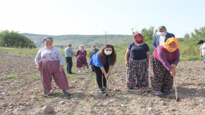 Vekil Kılıç tarladan SonSöz TV canlı yayınına bağlandı: Çiftçiye ihtiyacımız var!