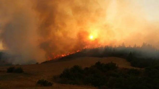 Yangınlar 15 milyon ton karbondioksit emisyonu yarattı
