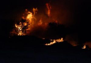 İzmir de yangın paniği: 25 hektar kül oldu