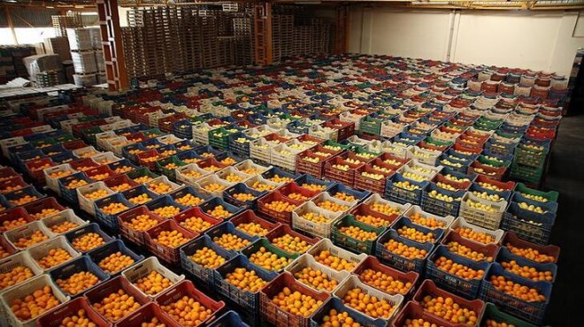 Yaş sebze meyve ihracatında İzmir dördüncü sırada