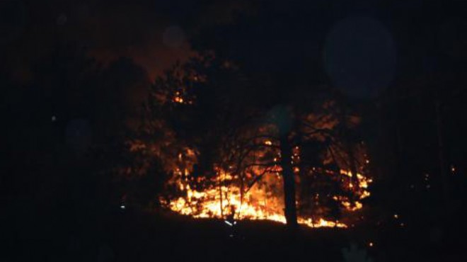 Yine orman yangını: İzmir alev alev!